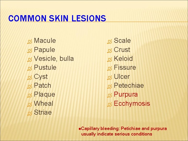 COMMON SKIN LESIONS Macule Papule Vesicle, bulla Pustule Cyst Patch Plaque Wheal Striae Scale