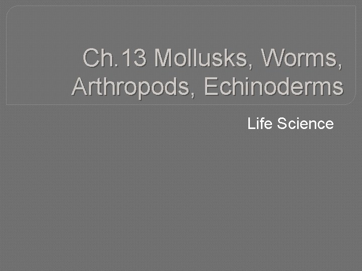 Ch. 13 Mollusks, Worms, Arthropods, Echinoderms Life Science 