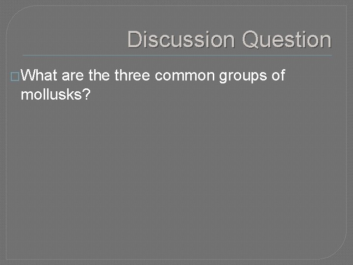 Discussion Question �What are three common groups of mollusks? 