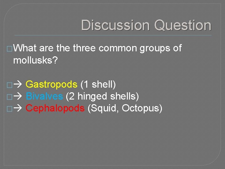 Discussion Question �What are three common groups of mollusks? Gastropods (1 shell) � Bivalves