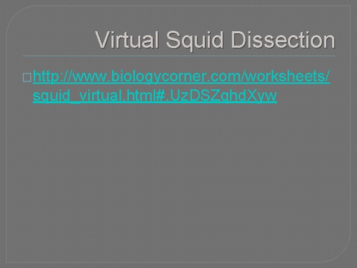 Virtual Squid Dissection �http: //www. biologycorner. com/worksheets/ squid_virtual. html#. Uz. DSZqhd. Xyw 
