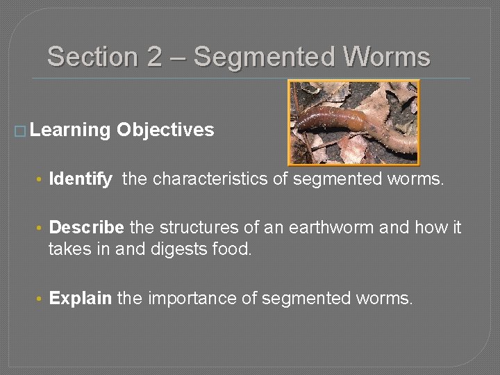 Section 2 – Segmented Worms � Learning Objectives • Identify the characteristics of segmented