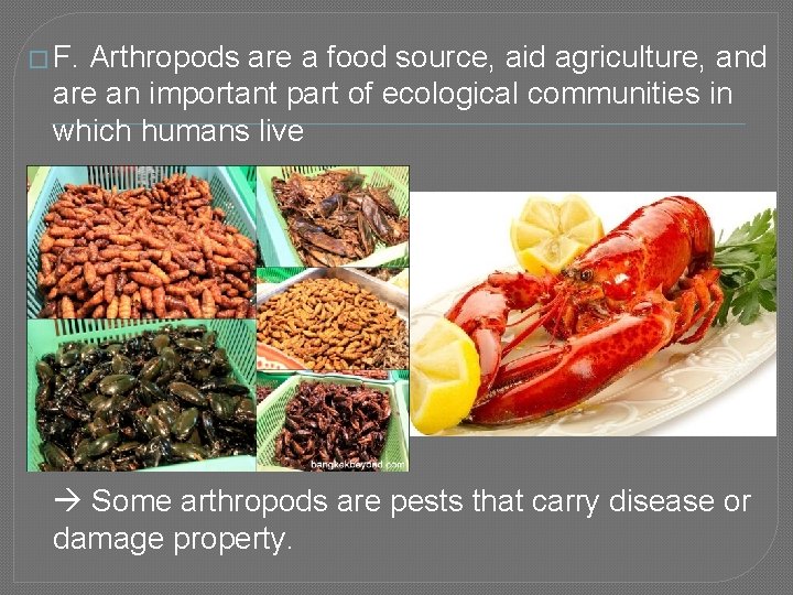 � F. Arthropods are a food source, aid agriculture, and are an important part