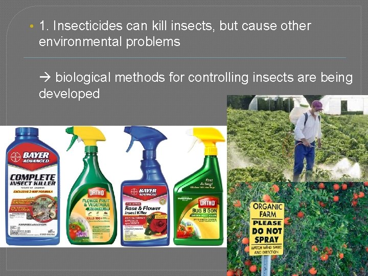  • 1. Insecticides can kill insects, but cause other environmental problems biological methods