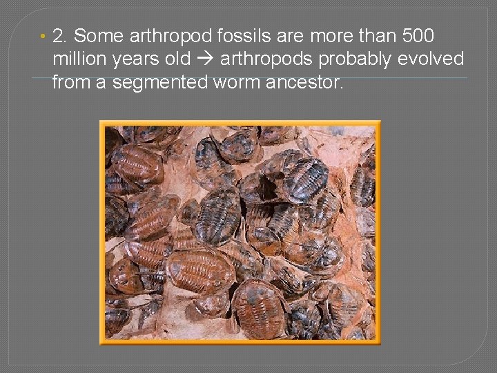  • 2. Some arthropod fossils are more than 500 million years old arthropods