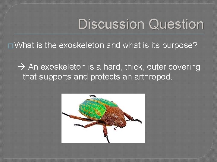 Discussion Question � What is the exoskeleton and what is its purpose? An exoskeleton