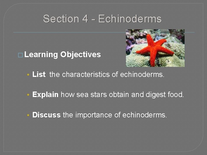 Section 4 - Echinoderms � Learning Objectives • List the characteristics of echinoderms. •