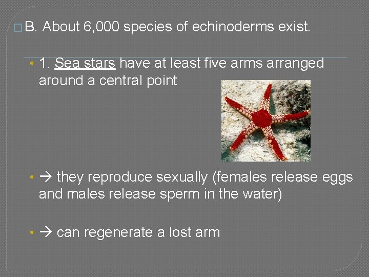 � B. About 6, 000 species of echinoderms exist. • 1. Sea stars have