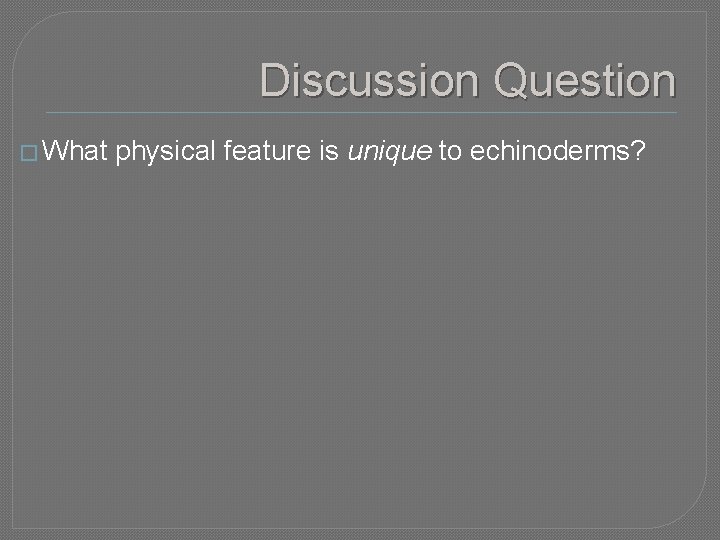 Discussion Question � What physical feature is unique to echinoderms? 