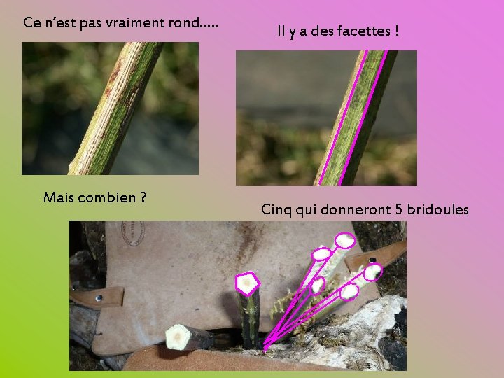 Ce n’est pas vraiment rond…. . Mais combien ? Il y a des facettes