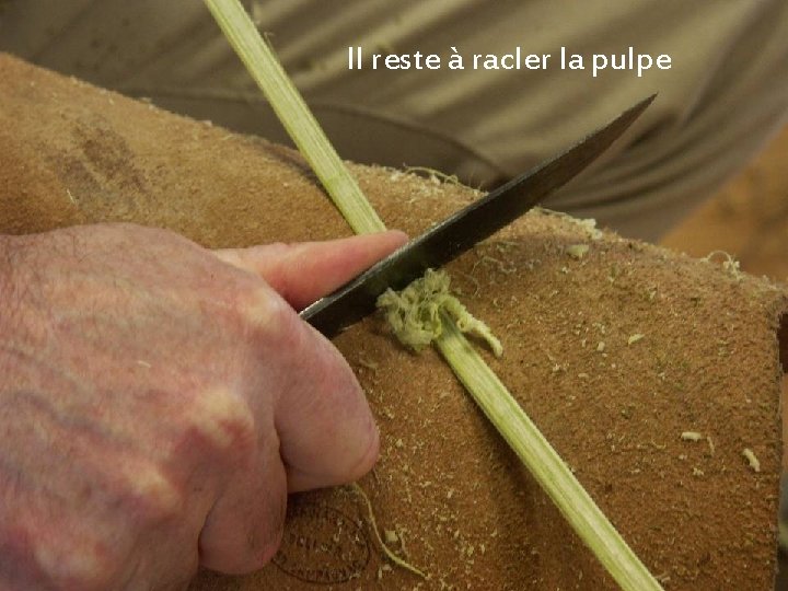 Il reste à racler la pulpe 