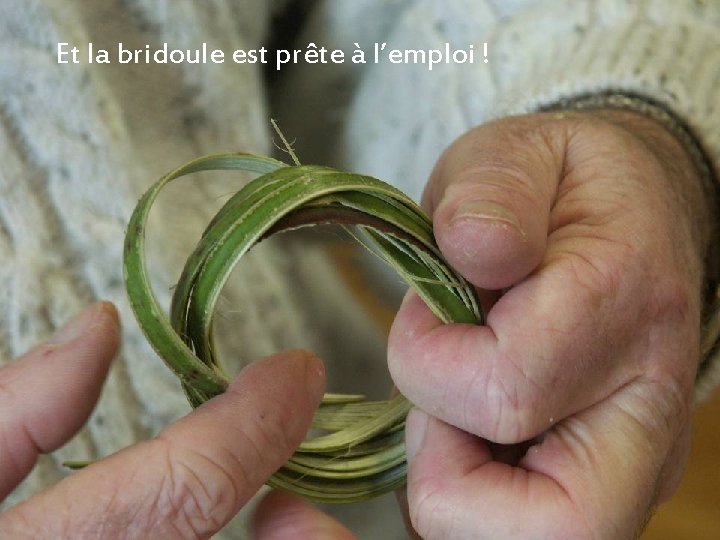 Et la bridoule est prête à l’emploi ! 