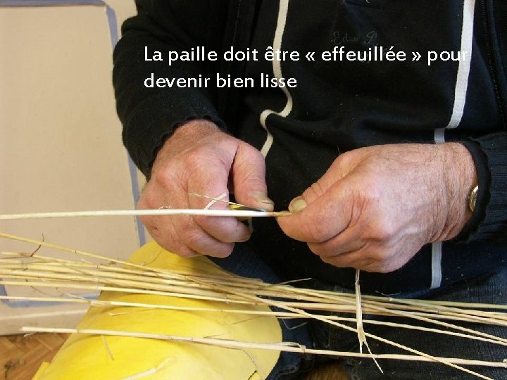 La paille doit être « effeuillée » pour devenir bien lisse 