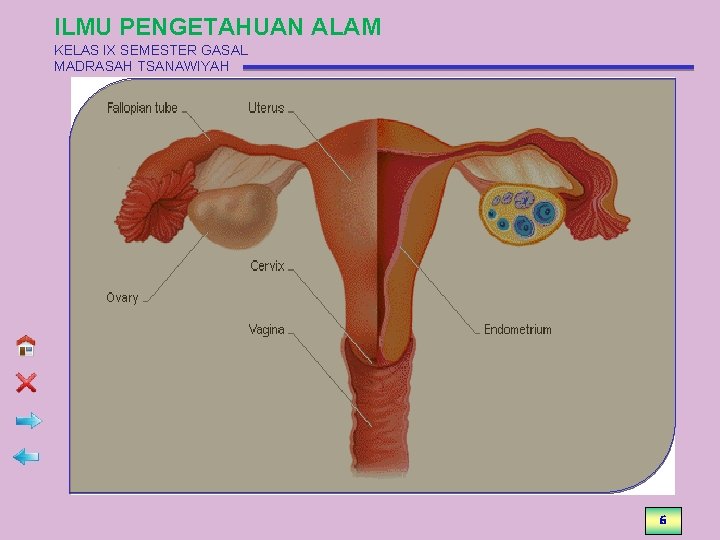 ILMU PENGETAHUAN ALAM KELAS IX SEMESTER GASAL MADRASAH TSANAWIYAH 6 