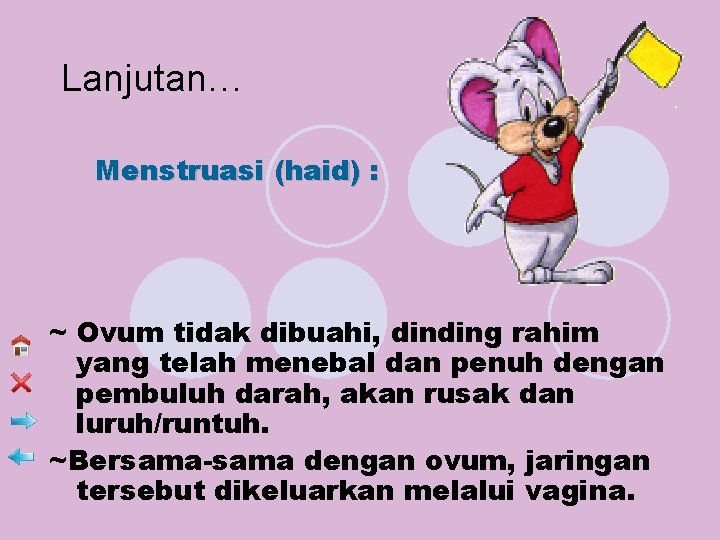 Lanjutan… Menstruasi (haid) : ~ Ovum tidak dibuahi, dinding rahim yang telah menebal dan