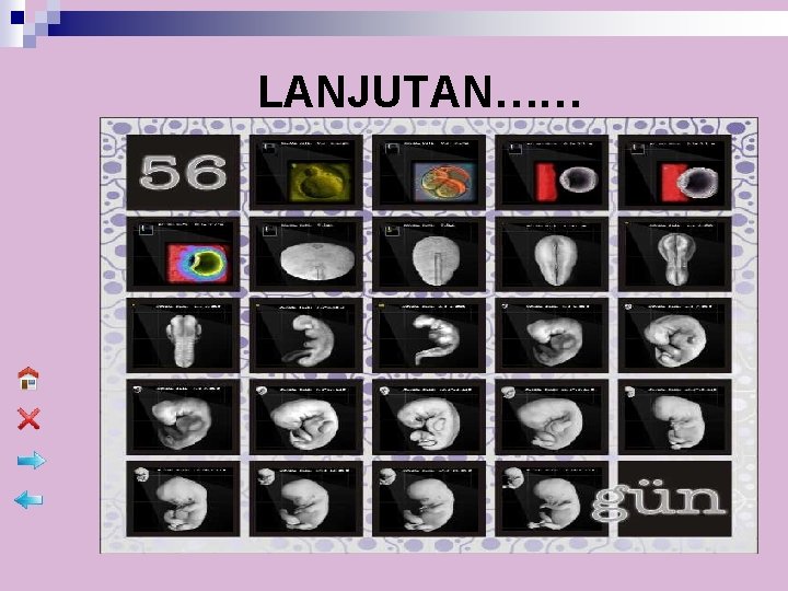 LANJUTAN…… 