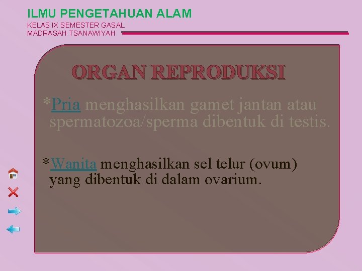 ILMU PENGETAHUAN ALAM KELAS IX SEMESTER GASAL MADRASAH TSANAWIYAH ORGAN REPRODUKSI *Pria menghasilkan gamet