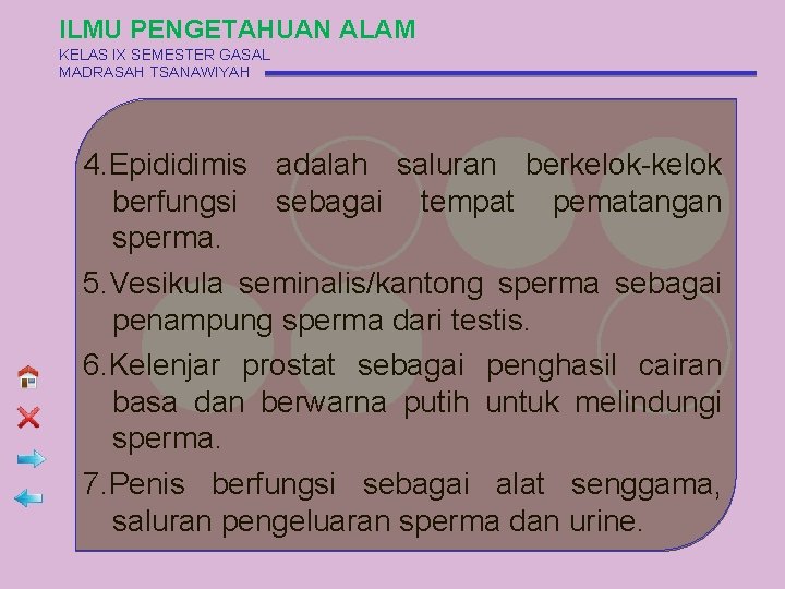 ILMU PENGETAHUAN ALAM KELAS IX SEMESTER GASAL MADRASAH TSANAWIYAH 4. Epididimis adalah saluran berkelok-kelok