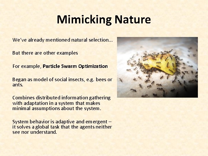 Mimicking Nature We’ve already mentioned natural selection. . . But there are other examples