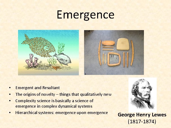 Emergence • • Emergent and Resultant The origins of novelty – things that qualitatively