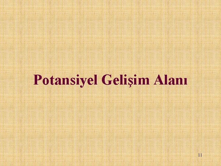 Potansiyel Gelişim Alanı 11 