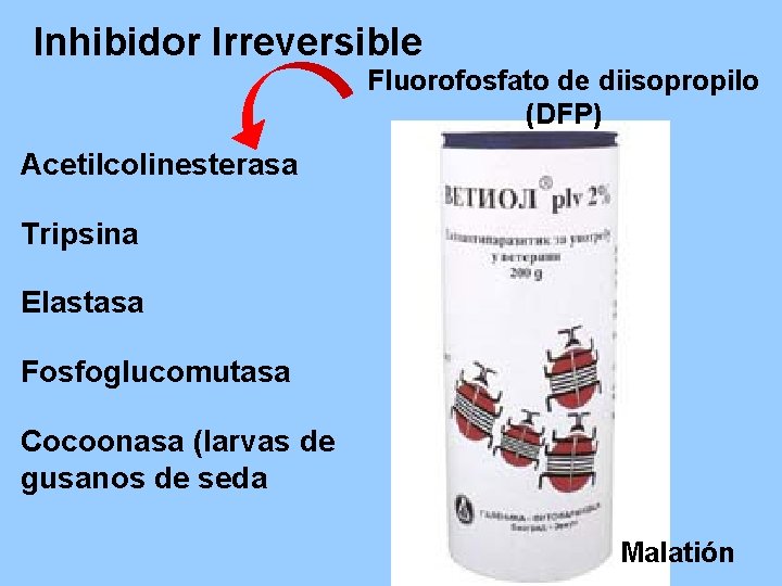 Inhibidor Irreversible Fluorofosfato de diisopropilo (DFP) Acetilcolinesterasa Tripsina Elastasa Fosfoglucomutasa Cocoonasa (larvas de gusanos