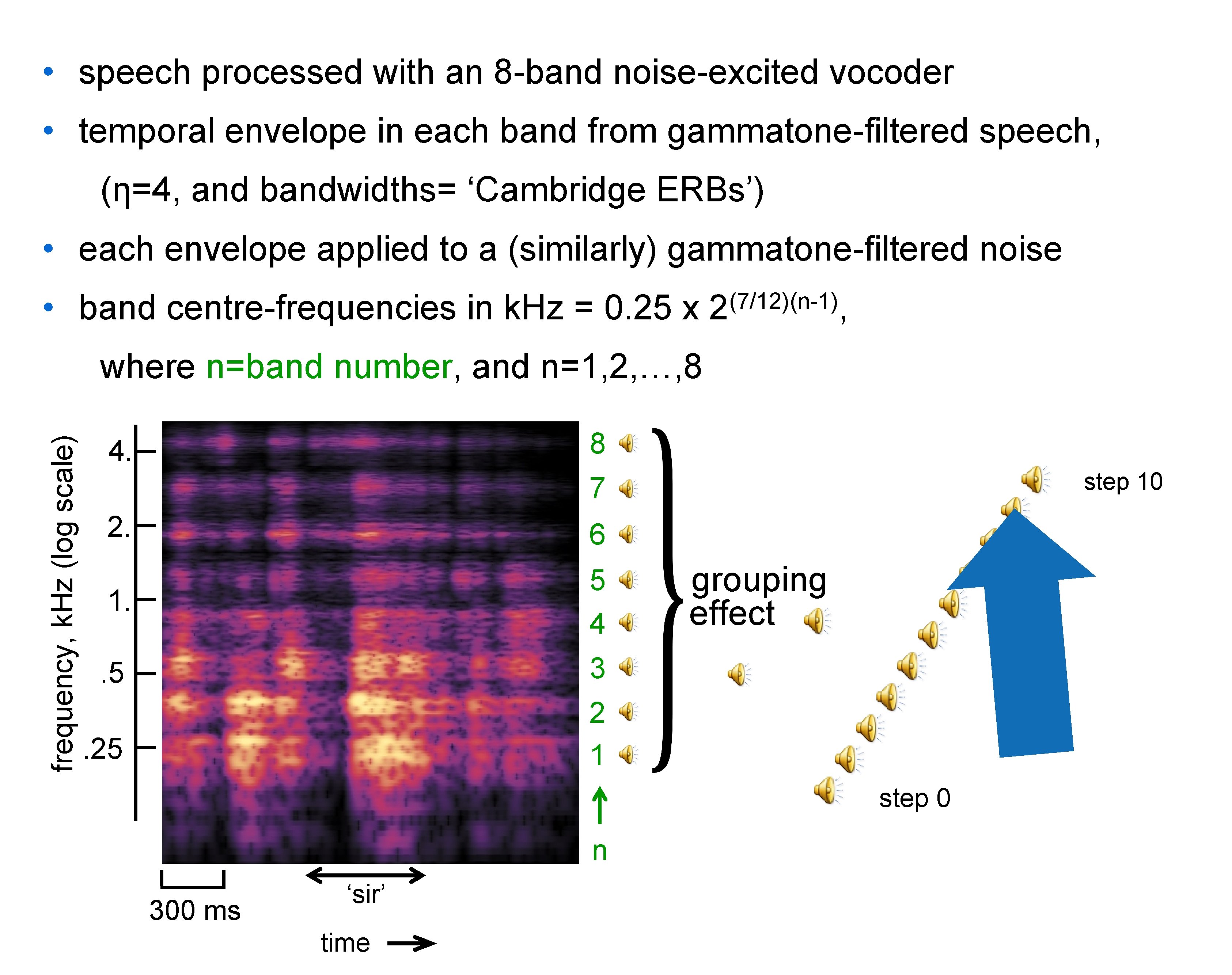  • speech processed with an 8 -band noise-excited vocoder • temporal envelope in