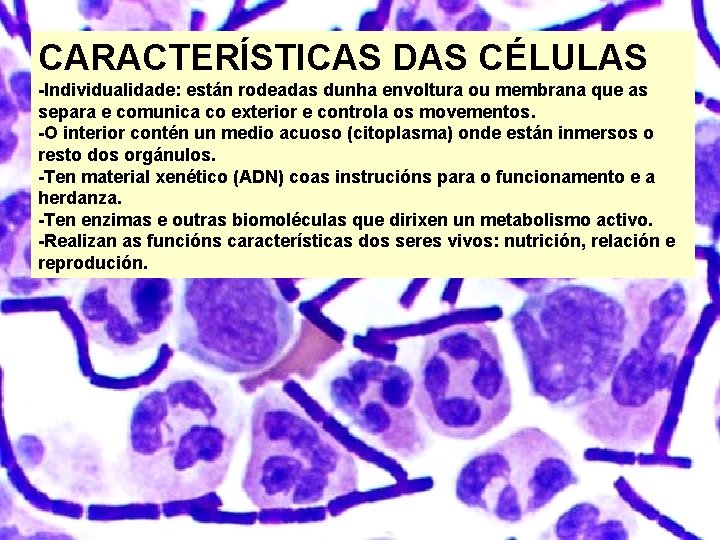 CARACTERÍSTICAS DAS CÉLULAS -Individualidade: están rodeadas dunha envoltura ou membrana que as separa e