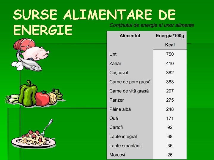 SURSE ALIMENTARE DE ENERGIE SURSE ALIMENTARE DE ENERGIE