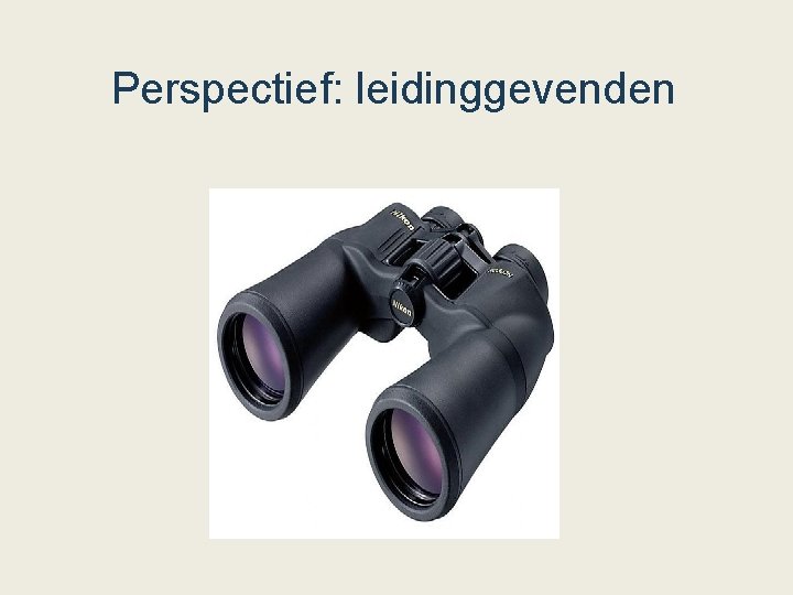 Perspectief: leidinggevenden 