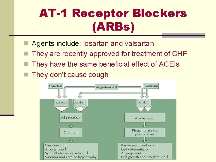 AT-1 Receptor Blockers (ARBs) n Agents include: losartan and valsartan n They are recently AT-1 Receptor Blockers (ARBs) n Agents include: losartan and valsartan n They are recently