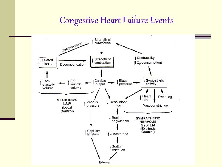 Congestive Heart Failure Events Congestive Heart Failure Events