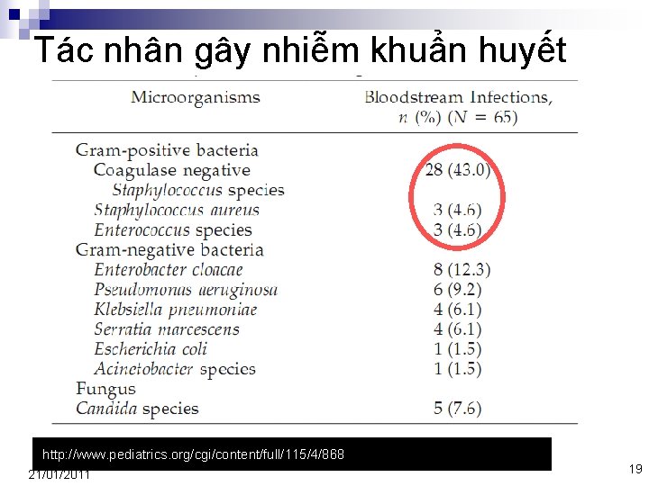 Tác nhân gây nhiễm khuẩn huyết http: //www. pediatrics. org/cgi/content/full/115/4/868 21/01/2011 19 