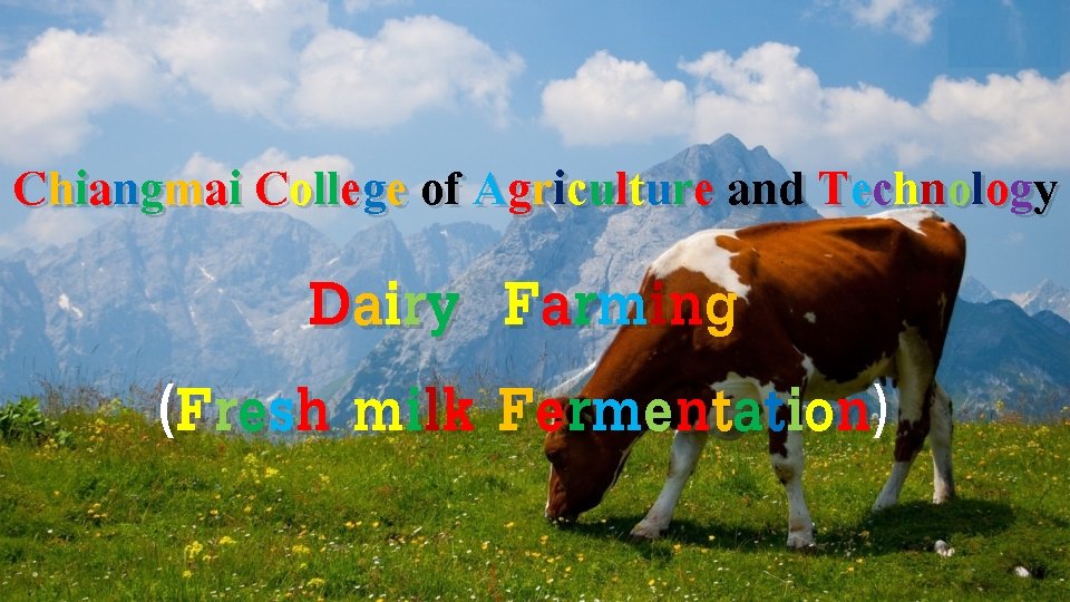 Chiangmai College of Agriculture and Technology Dairy Farming (Fresh milk Fermentation) 