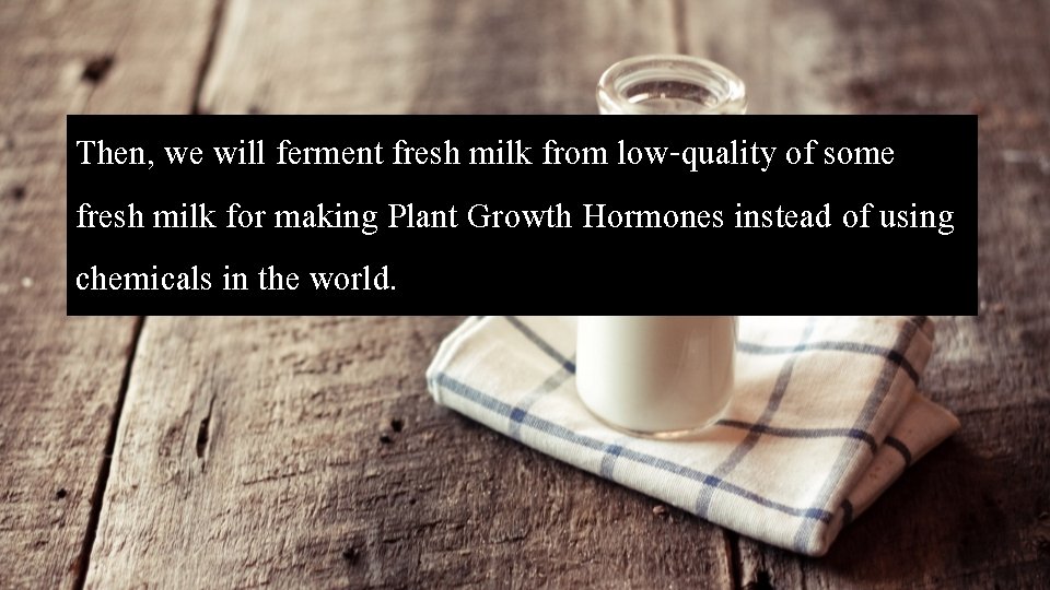 Then, we will ferment fresh milk from low-quality of some fresh milk for making