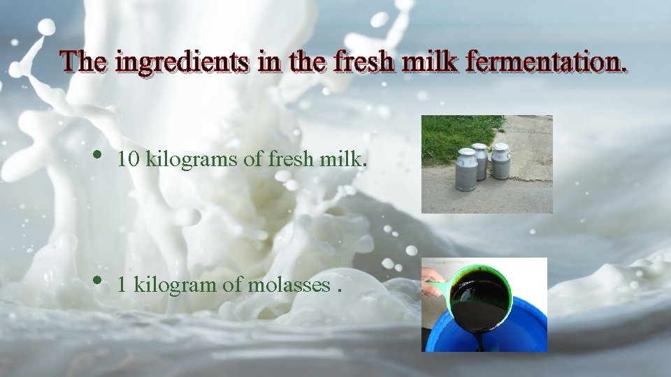 The ingredients in the fresh milk fermentation. • 10 kilograms of fresh milk. •