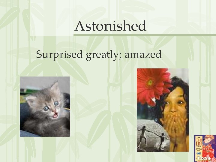 Astonished Surprised greatly; amazed Home 