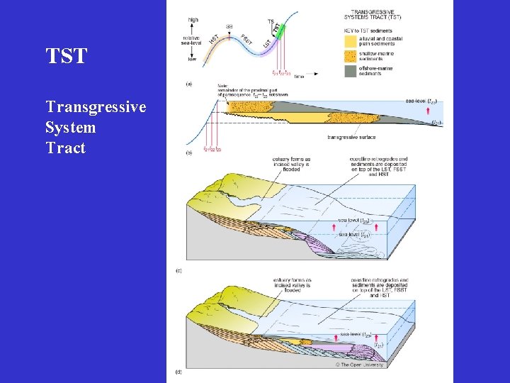 TST Transgressive System Tract 