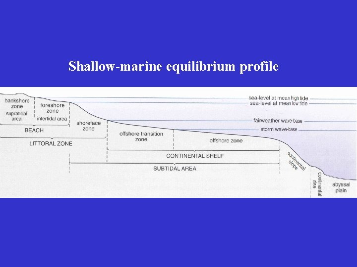 Shallow-marine equilibrium profile 
