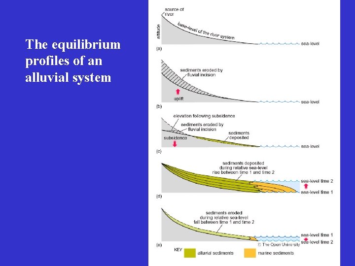 The equilibrium profiles of an alluvial system 