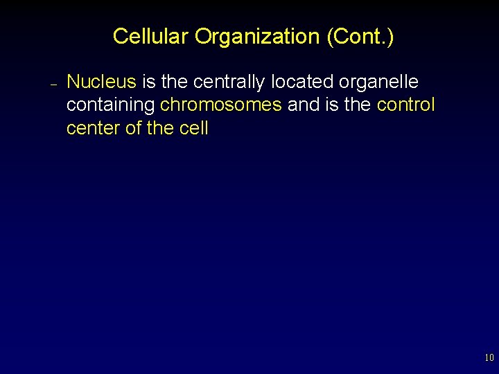 Cellular Organization (Cont. ) – Nucleus is the centrally located organelle containing chromosomes and