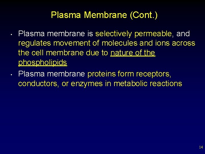 Plasma Membrane (Cont. ) • • Plasma membrane is selectively permeable, and regulates movement