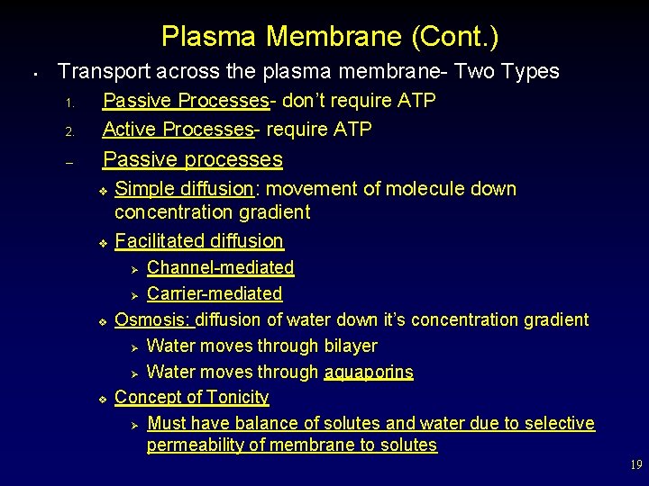 Plasma Membrane (Cont. ) • Transport across the plasma membrane- Two Types 2. Passive