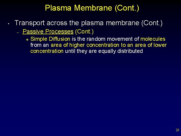 Plasma Membrane (Cont. ) • Transport across the plasma membrane (Cont. ) – Passive