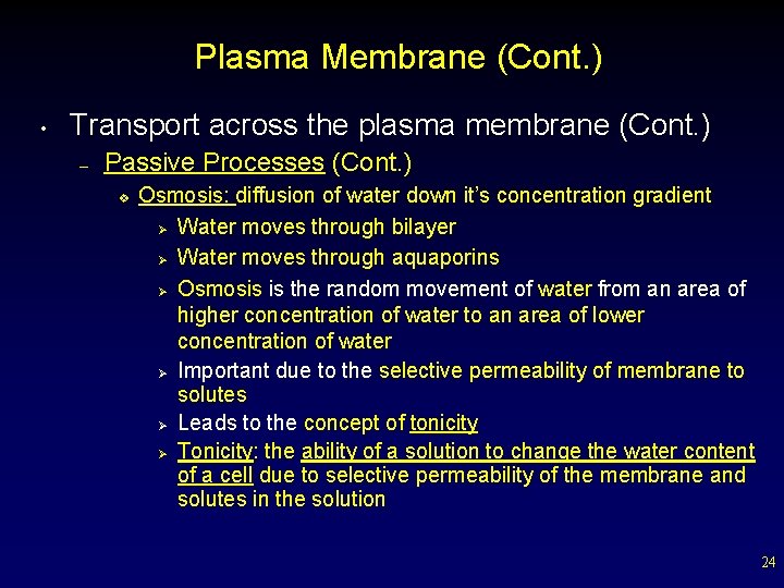 Plasma Membrane (Cont. ) • Transport across the plasma membrane (Cont. ) – Passive