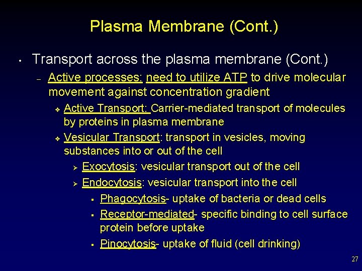 Plasma Membrane (Cont. ) • Transport across the plasma membrane (Cont. ) – Active