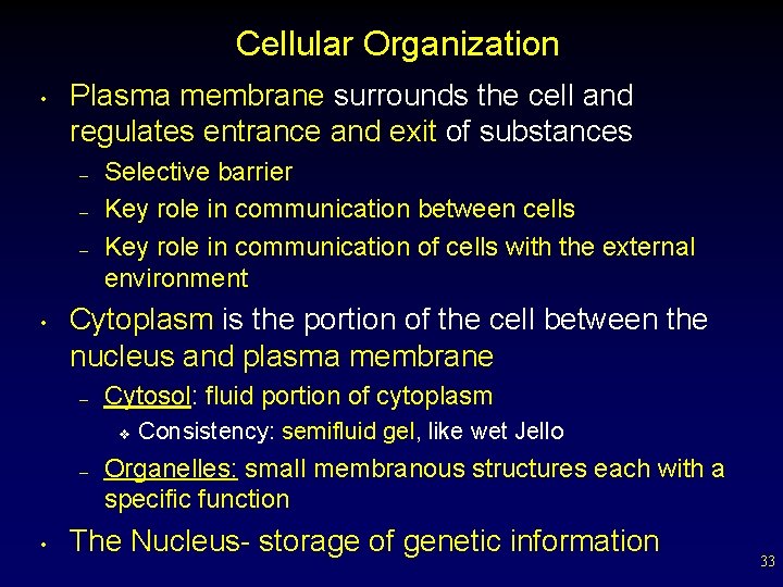 Cellular Organization • Plasma membrane surrounds the cell and regulates entrance and exit of