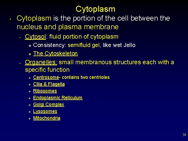 Cytoplasm • Cytoplasm is the portion of the cell between the nucleus and plasma