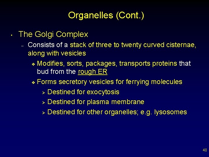 Organelles (Cont. ) • The Golgi Complex – Consists of a stack of three