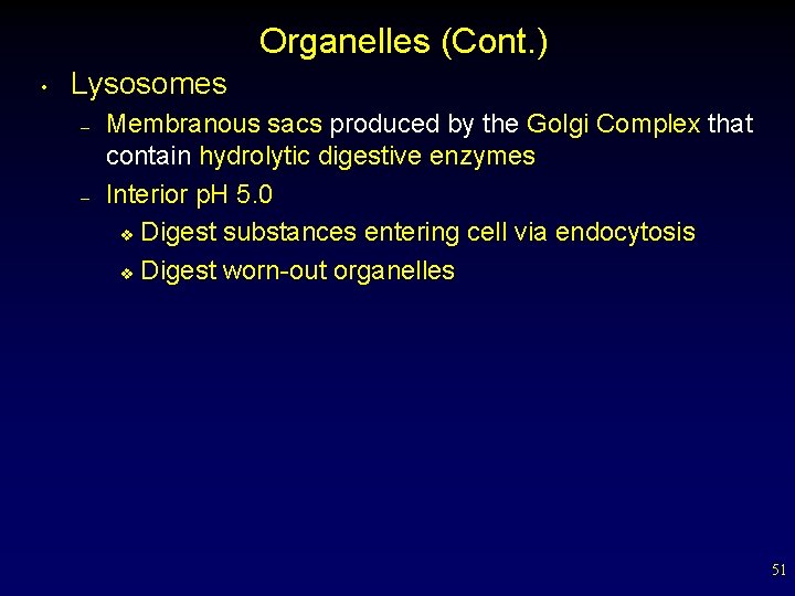 Organelles (Cont. ) • Lysosomes – – Membranous sacs produced by the Golgi Complex
